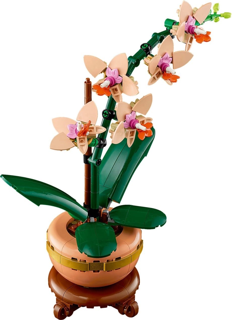 LEGO 10343 Icons Botanicals Mini Orchid Brick Haven NZ